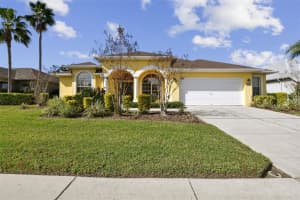 2143 EDELWEISS LOOP, TRINITY, FL 34655 Sold 06/03/24