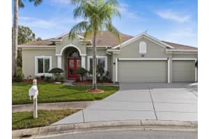 2921 PUNTA PALMA COURT, HOLIDAY, FL 34691 Sold 02/07/24