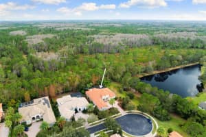2603 HAWKS LANDING BOULEVARD, PALM HARBOR, FL 34685 Sold 03/28/24