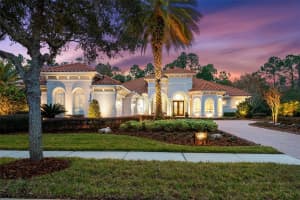 2603 HAWKS LANDING BOULEVARD, PALM HARBOR, FL 34685 Sold 03/28/24