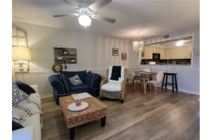 6817 STONES THROW CIR N #17105, SAINT PETERSBURG, FL 33710 Sold 04/01/24