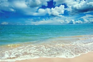 1290 GULF BOULEVARD, CLEARWATER, FL 33767 Sold 02/29/24