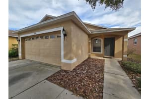 8432 DEER CHASE DRIVE, RIVERVIEW, FL 33578 Sold 07/12/24