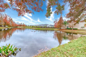 4763 WHITE SANDERLING COURT, TAMPA, FL 33619 Sold 03/14/24