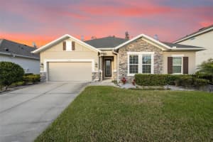 15301 RENAISSANCE AVENUE, ODESSA, FL 33556 Sold 02/27/24