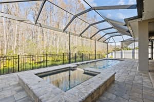 15301 RENAISSANCE AVENUE, ODESSA, FL 33556 Sold 02/27/24