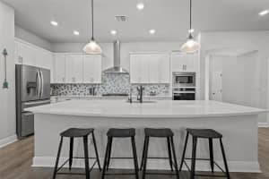 15301 RENAISSANCE AVENUE, ODESSA, FL 33556 Sold 02/27/24