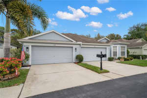 10121 MOWRY LANE, TAMPA, FL 33625 Sold 02/23/24