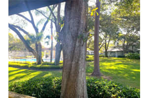 2938 LICHEN LANE, CLEARWATER, FL 33760 Sold 03/29/24