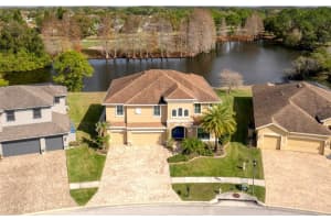 16309 WILD MALLARD DRIVE, ODESSA, FL 33556 Sold 03/07/24