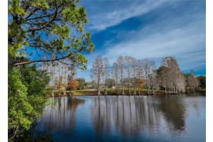 16309 WILD MALLARD DRIVE, ODESSA, FL 33556 Sold 03/07/24
