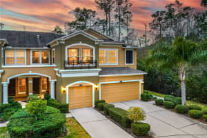 12574 SILVERDALE STREET, TAMPA, FL 33626 Sold 03/26/24