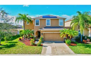 532 VISTA RIDGE DRIVE, RUSKIN, FL 33570 Sold 06/25/24