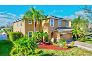 532 VISTA RIDGE DRIVE, RUSKIN, FL 33570 Sold 06/25/24