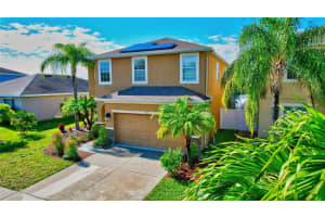 532 VISTA RIDGE DRIVE, RUSKIN, FL 33570 Sold 06/25/24