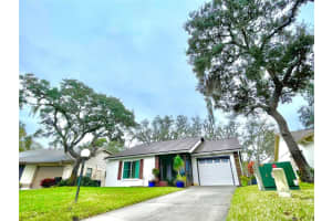 11508 YELLOW BIRCH COURT, NEW PORT RICHEY, FL 34654 Sold 07/30/24
