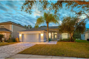 12945 ROYAL GEORGE AVENUE, ODESSA, FL 33556 Sold 03/26/24