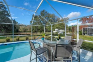 12945 ROYAL GEORGE AVENUE, ODESSA, FL 33556 Sold 03/26/24