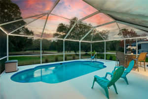 12945 ROYAL GEORGE AVENUE, ODESSA, FL 33556 Sold 03/26/24