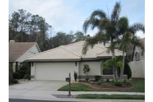 3654 DARSTON STREET, PALM HARBOR, FL 34685 Sold 03/29/24