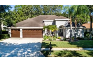 5294 KARLSBURG PLACE, PALM HARBOR, FL 34685 Sold 05/31/24