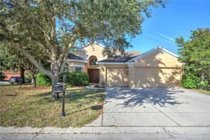 8551 TENBRIDGE WAY, NEW PORT RICHEY, FL 34654 Sold 05/22/24