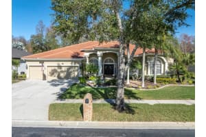 1245 KINGS WAY LANE, TARPON SPRINGS, FL 34688 Sold 03/15/24