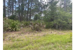 0954126609 AVERETTE AVENUE, NORTH PORT, FL 34291 - MLS#MFRU8229781