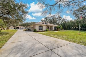 10838 CANDY LANE, NEW PORT RICHEY, FL 34654 Sold 11/22/24