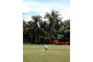 6322 PALMA DEL MAR BOULEVARD, ST PETERSBURG, FL 33715 - MLS#MFRU8230086