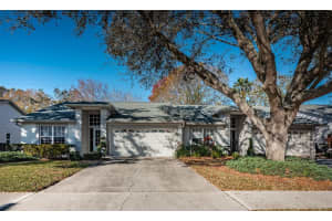 3086 PEPPERWOOD LANE, CLEARWATER, FL 33761 Sold 03/26/24
