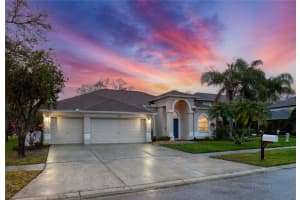 16210 MUIRFIELD DRIVE, ODESSA, FL 33556 Sold 05/17/24