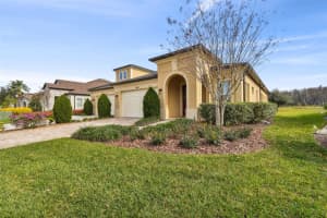 4513 BARLETTA COURT, WESLEY CHAPEL, FL 33543 Sold 09/06/24