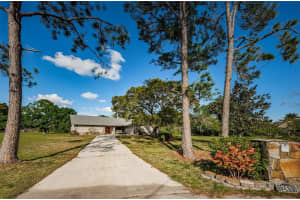 12401 PONY COURT, TAMPA, FL 33626 Sold 05/31/24