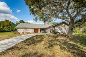 12401 PONY COURT, TAMPA, FL 33626 Sold 05/31/24