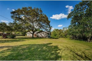 12401 PONY COURT, TAMPA, FL 33626 Sold 05/31/24