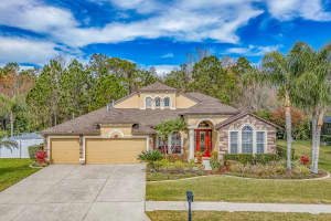 16200 IVY LAKE DRIVE, ODESSA, FL 33556 Sold 04/10/24