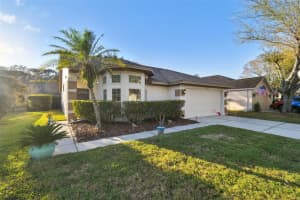 1202 MISTWOOD DRIVE, TARPON SPRINGS, FL 34688 Sold 07/29/24