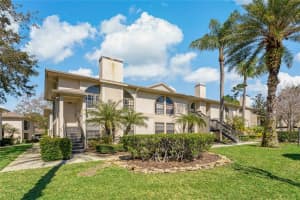 3350 MERMOOR DRIVE, PALM HARBOR, FL 34685 Sold 05/01/24