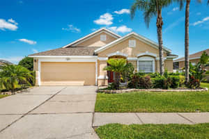 22328 RED JACKET LANE, LAND O LAKES, FL 34639 Sold 12/20/24