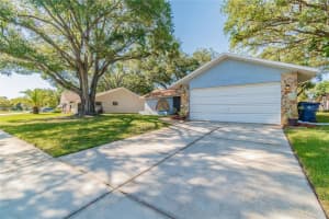 8649 WIND MILL DRIVE, NEW PORT RICHEY, FL 34655 Sold 03/28/24