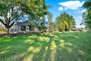 11824 HADLEIGH WAY, TRINITY, FL 34655 Sold 09/12/24