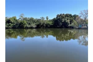 6813 MOUNT ORANGE DRIVE, ST PETERSBURG, FL 33702 Sold 04/29/24