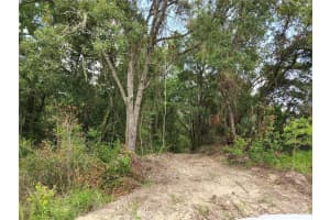 17686 TROJANTOWN, SPRING HILL, FL 34610 - MLS#MFRU8232493