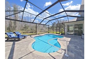 8542 EAGLE BROOK DRIVE, LAND O LAKES, FL 34638 Sold 06/25/24