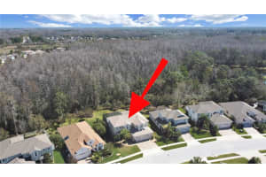 8542 EAGLE BROOK DRIVE, LAND O LAKES, FL 34638 Sold 06/25/24