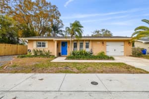 1802 BUTTONWOOD DRIVE, OLDSMAR, FL 34677 Sold 04/09/24