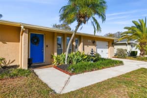 1802 BUTTONWOOD DRIVE, OLDSMAR, FL 34677 Sold 04/09/24