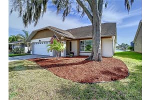 8625 BOYSENBERRY DRIVE, TAMPA, FL 33635 Sold 04/11/24