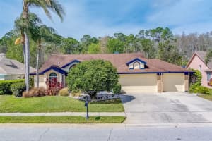 1415 HOVERSHAM DRIVE, NEW PORT RICHEY, FL 34655 Sold 04/05/24